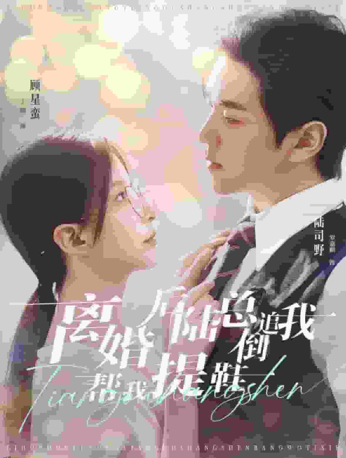 离婚后陆总倒追我帮我提鞋 海报