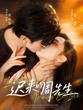 迟来的周先生 海报