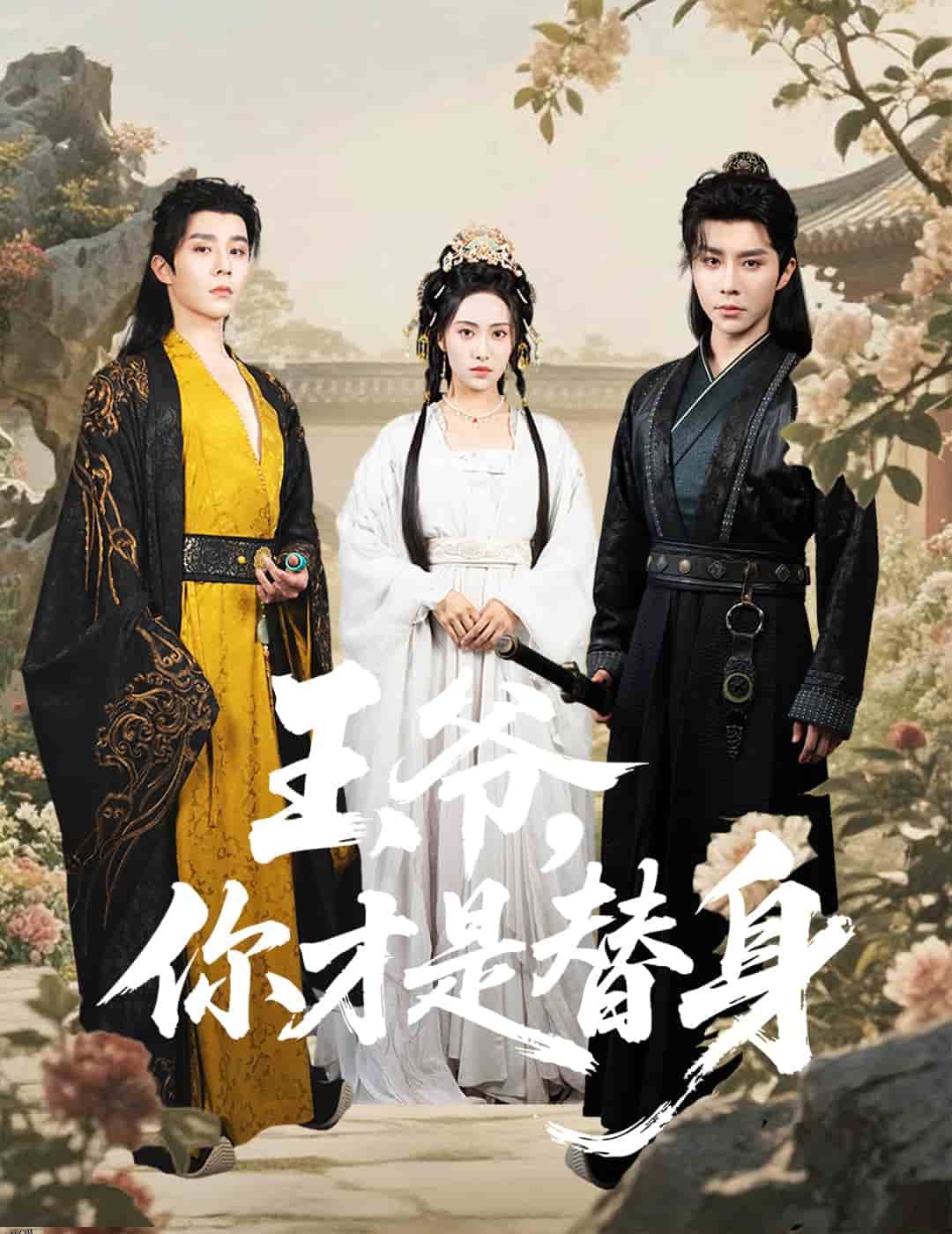 王爷你才是替身 海报