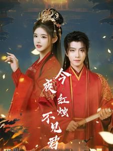 今夜红烛不见君 海报