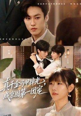 真千金马甲掉光，成京圈第一团宠 海报