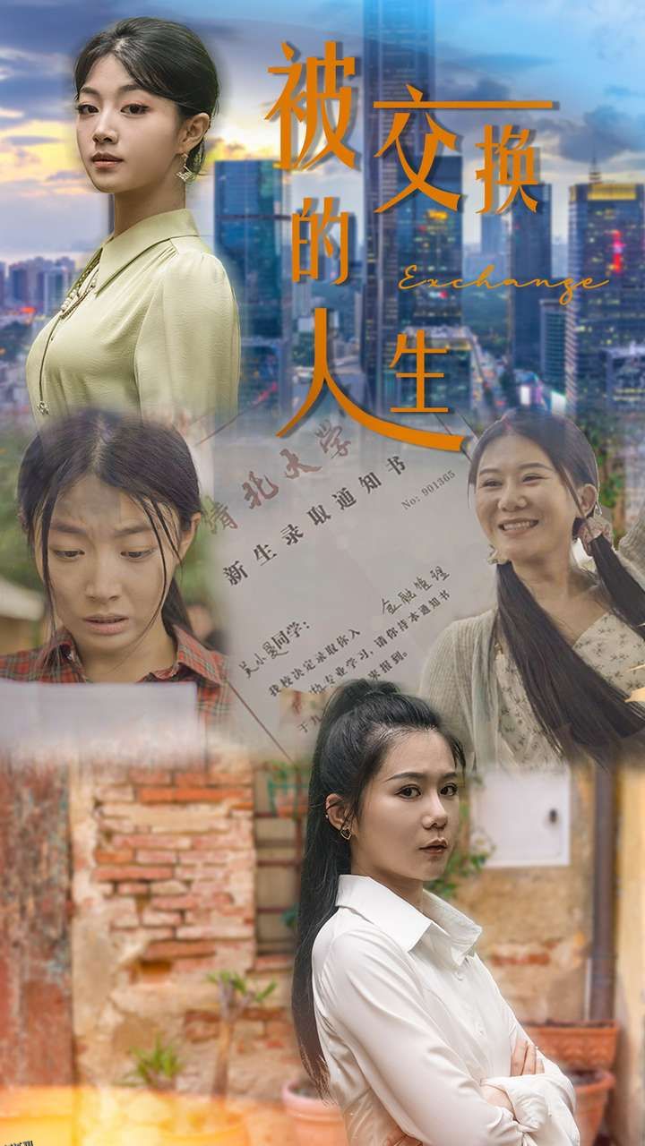 被交换的人生 海报