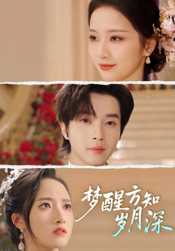 梦醒方知岁月深 海报
