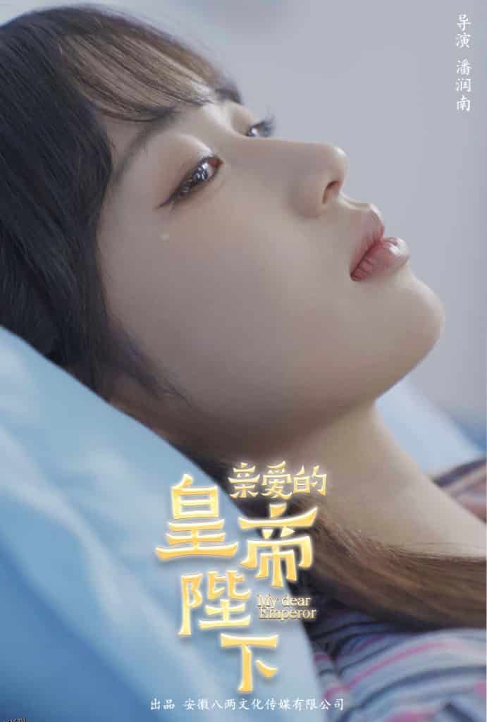 亲爱的皇帝陛下 海报