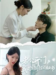 老公开门，我是你新招的秘书 海报