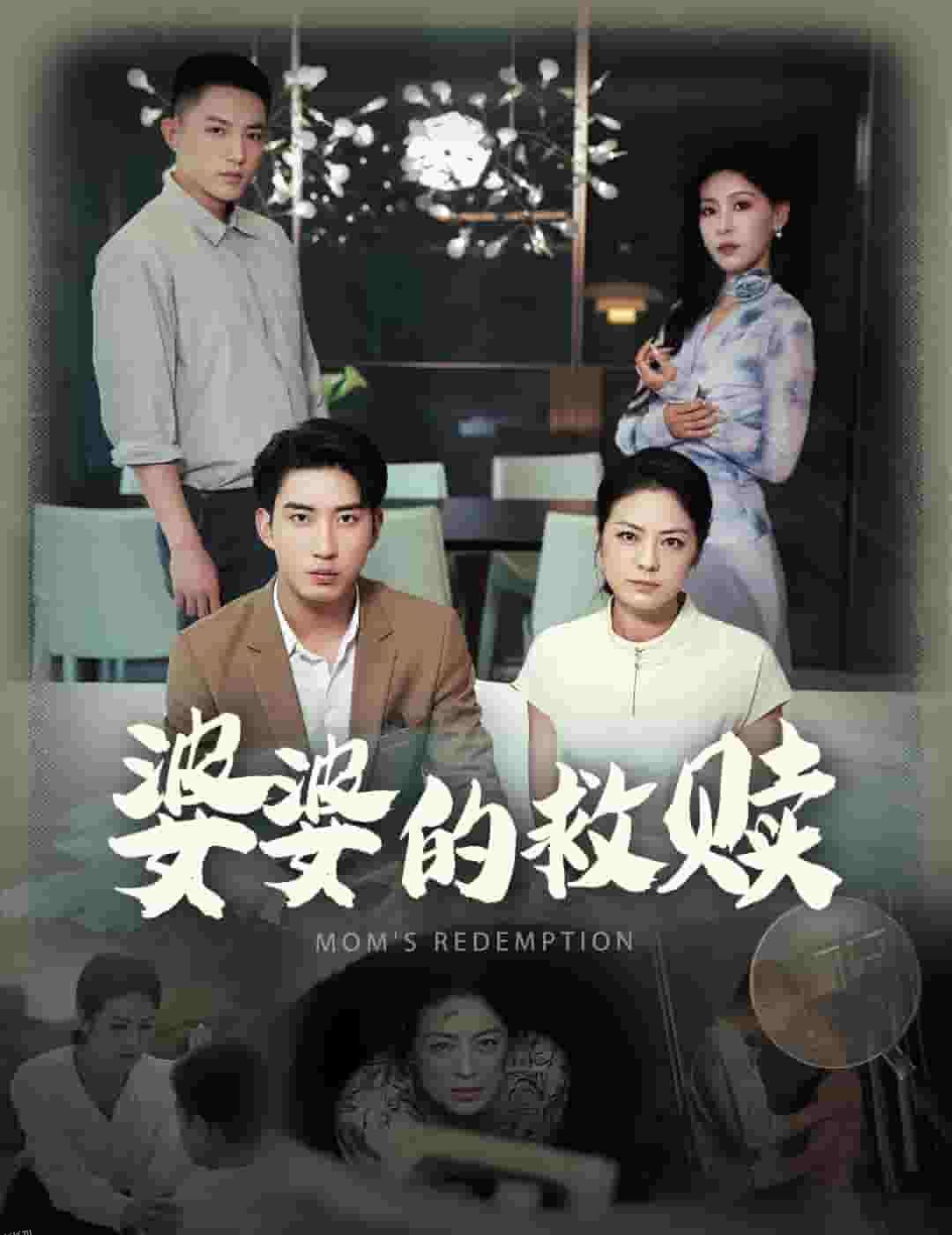 婆婆的救赎 海报