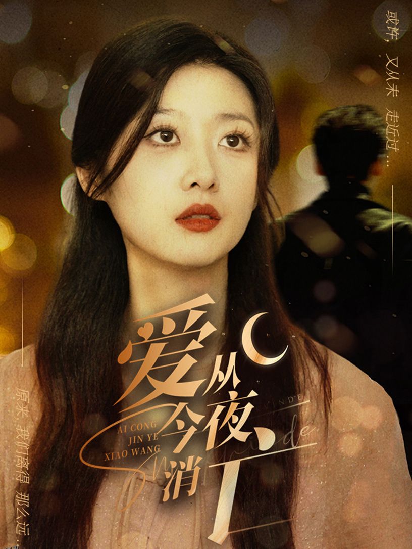 爱从今夜消亡 海报