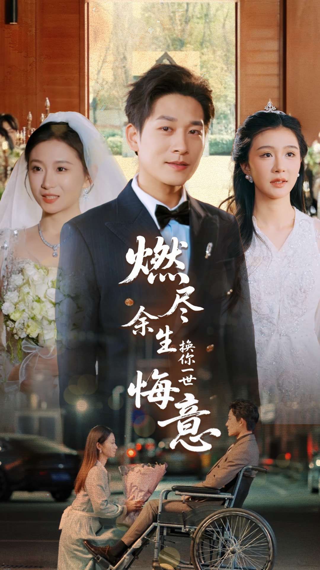 燃尽余生换你一世悔意 海报