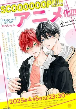 无法抑制之情是否唤作爱 海报