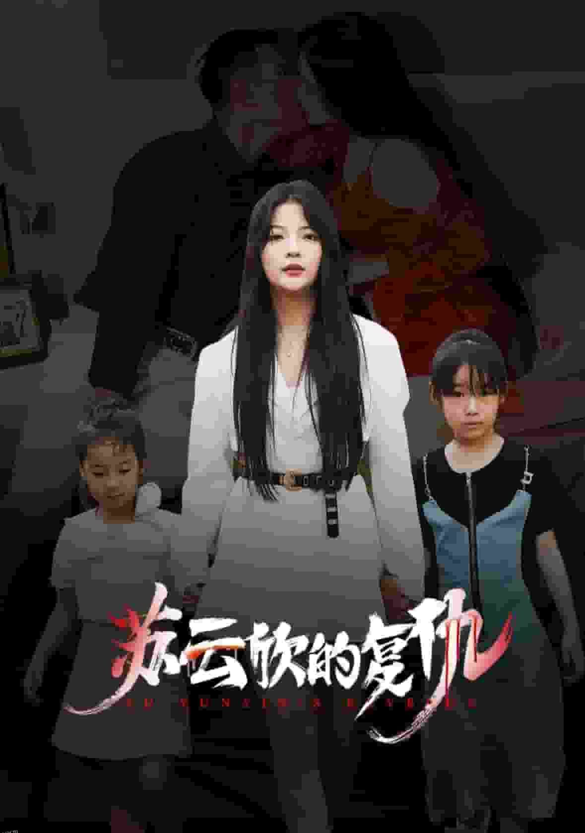 苏云欣的复仇 海报