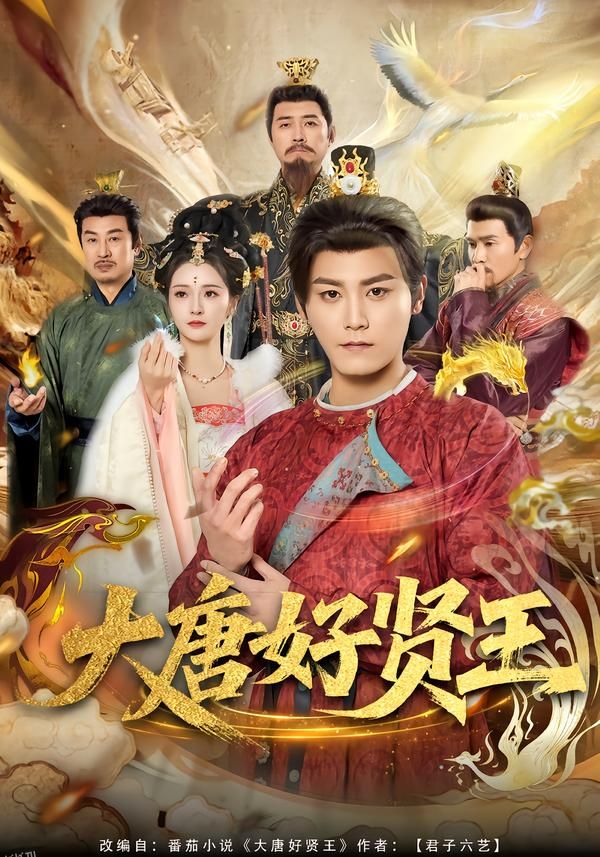 大唐好贤王 海报