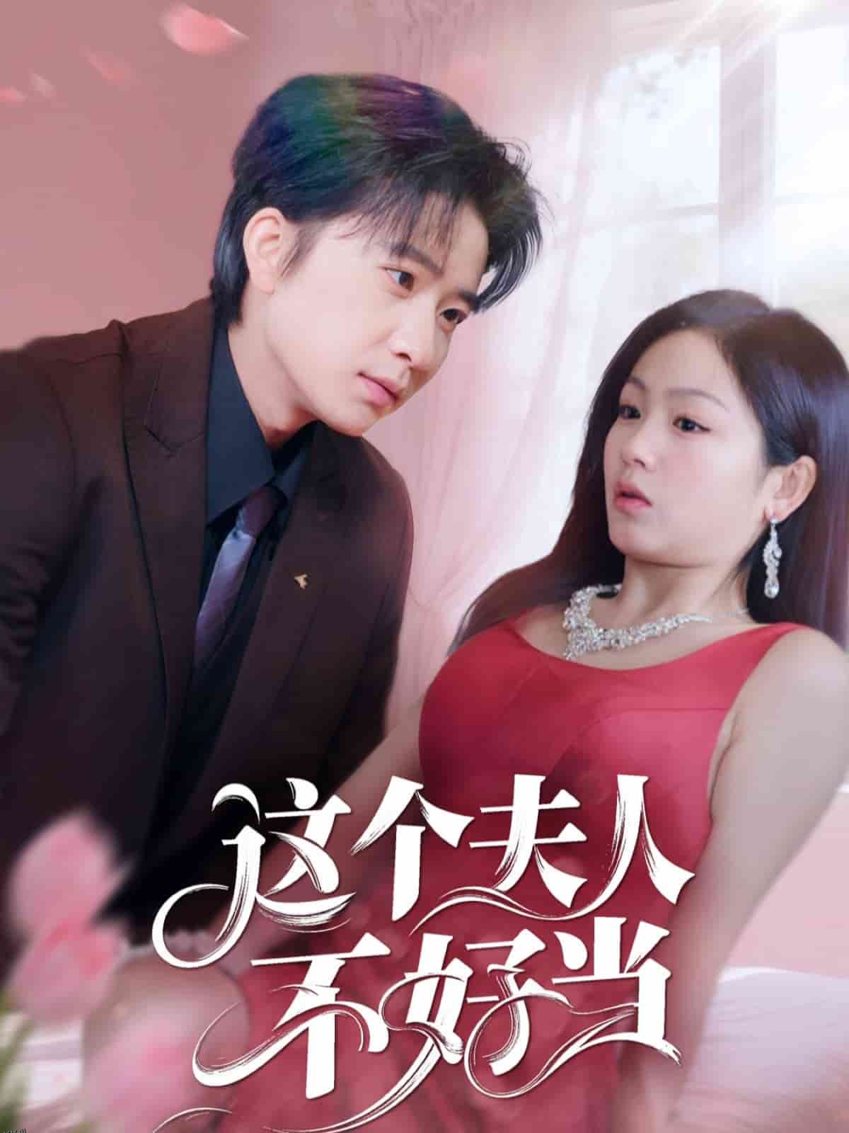 这个夫人不好当 海报