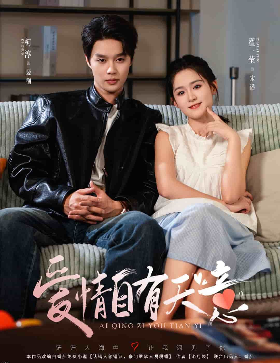 爱情自有天意 海报