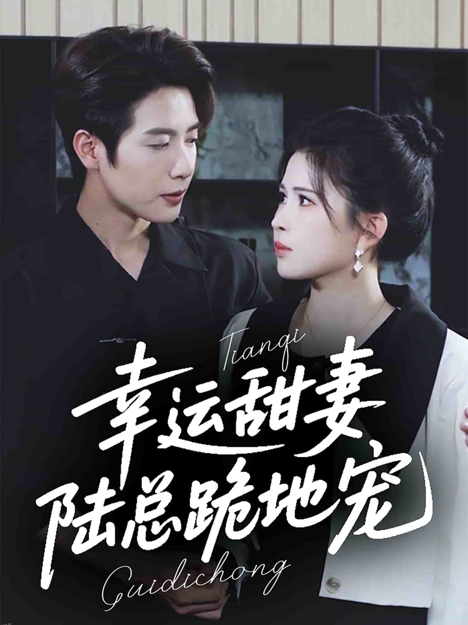 幸运甜妻，陆总跪地宠 海报