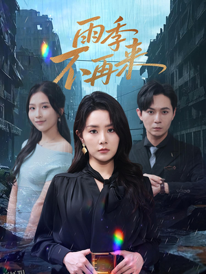 雨季不再来 海报