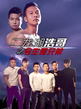 二龙湖浩哥之今生是兄弟 海报