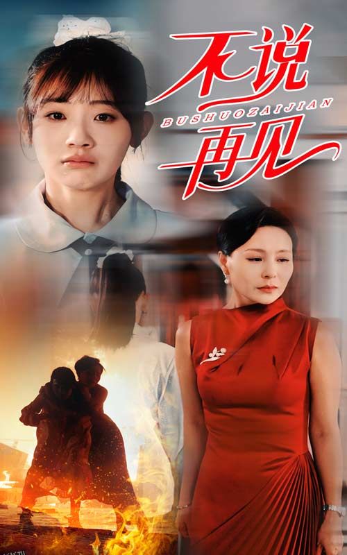 不说再见 短剧版 海报