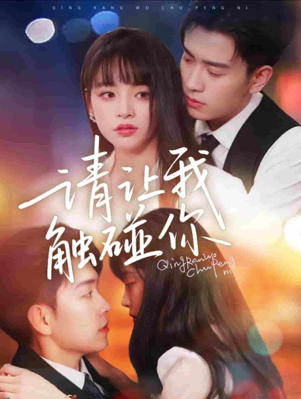 请让我触碰你 海报