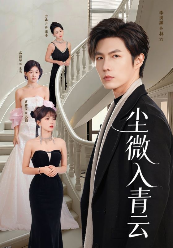 尘微入青云 海报