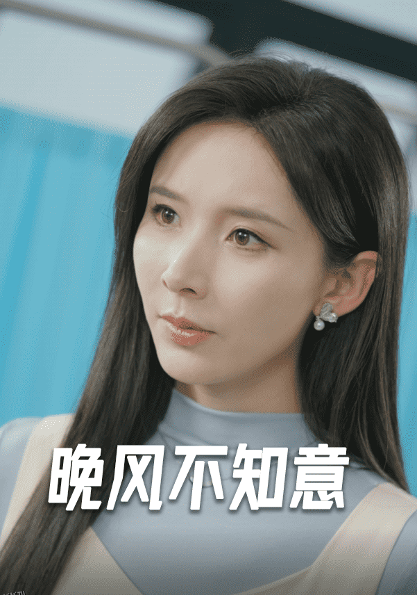 晚风不知意 海报