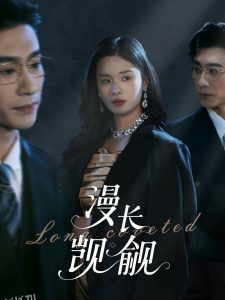 漫长觊觎 海报