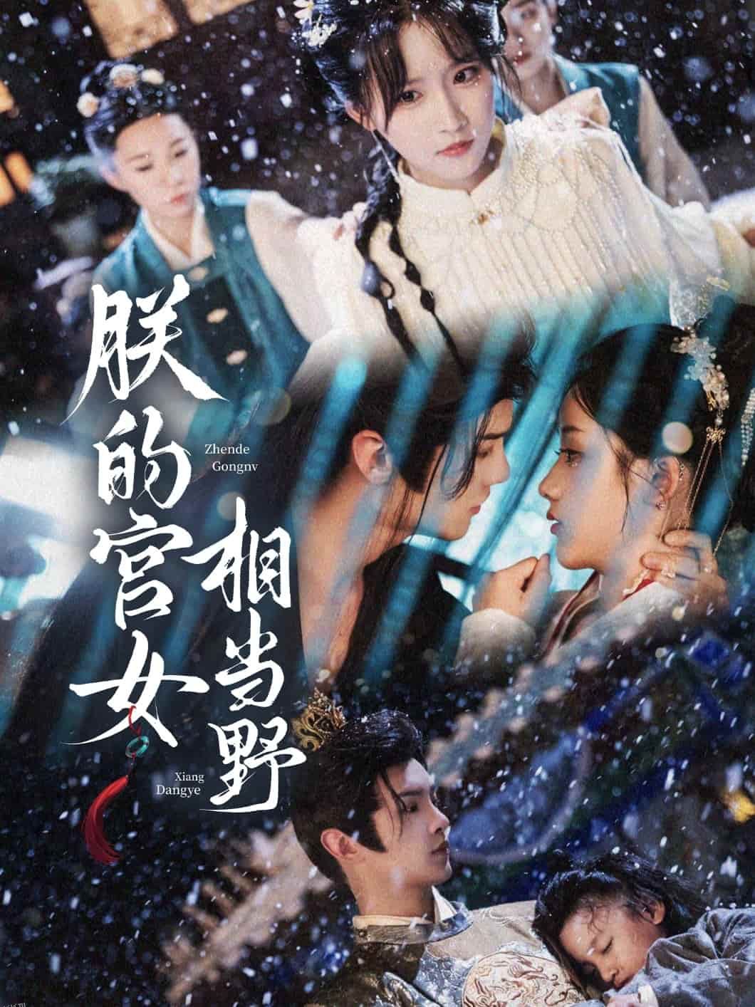 朕的宫女相当野 海报