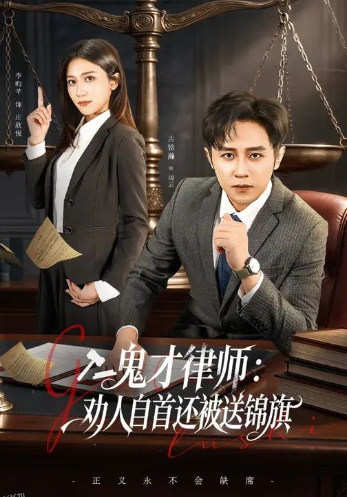 鬼才律师，劝人自首还被送锦旗 海报