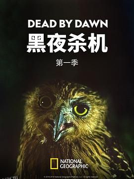 黑夜杀机第一季 海报