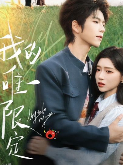 我的唯一限定 海报