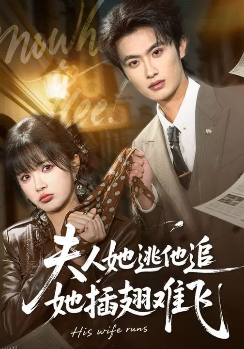 夫人她逃他追，她插翅难飞 海报