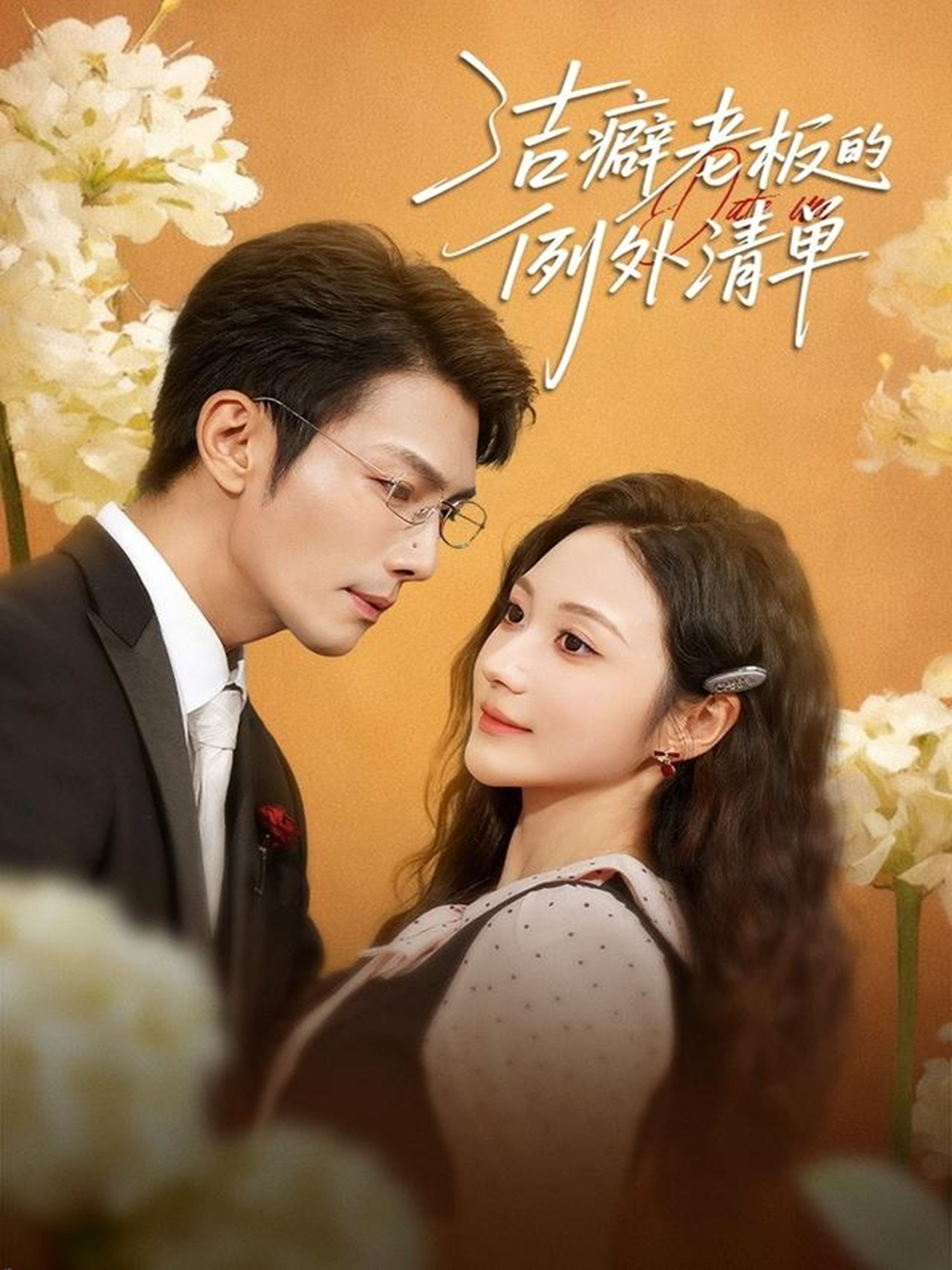 洁癖老板的例外清单 海报