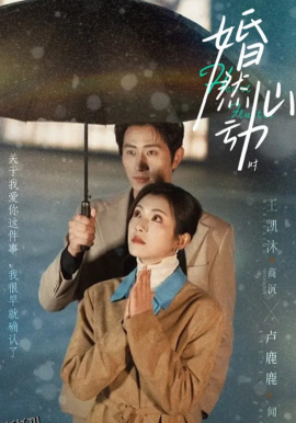 婚然心动时 海报