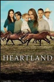 心灵之地第十五季 海报