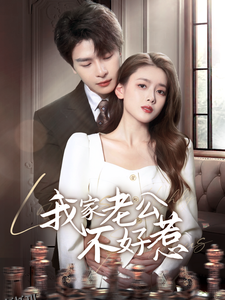 我家老公不好惹 海报