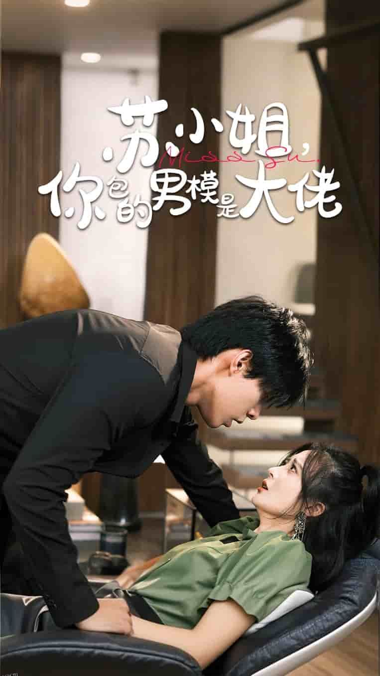 苏小姐你包的男模是大佬 海报