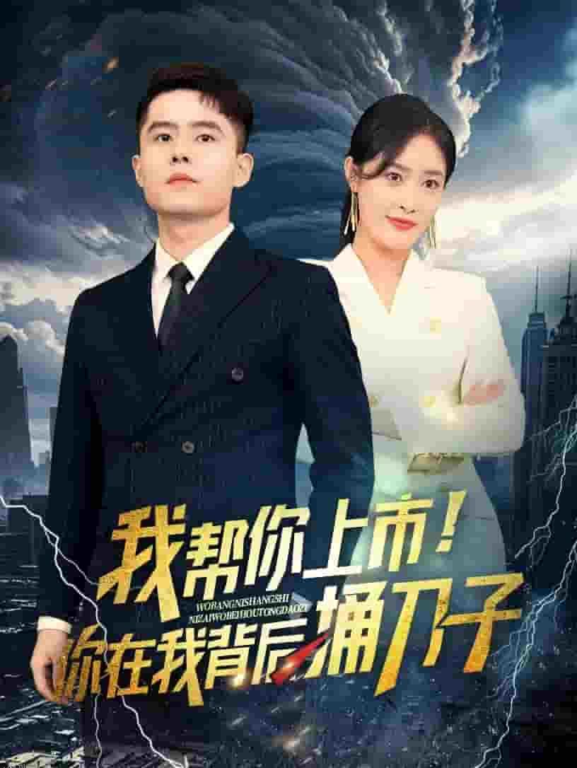 我帮你上市！你在我背后捅刀子 海报