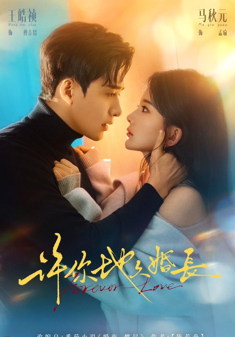 许你地久婚长 海报