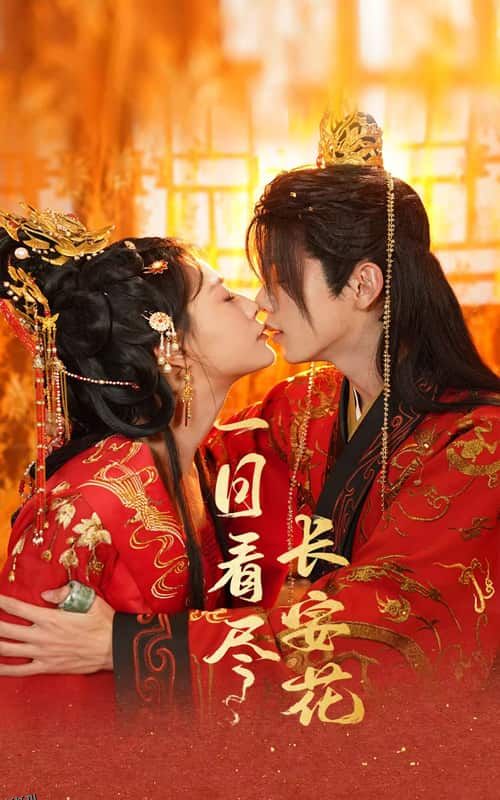 一日看尽长安花 高清海报