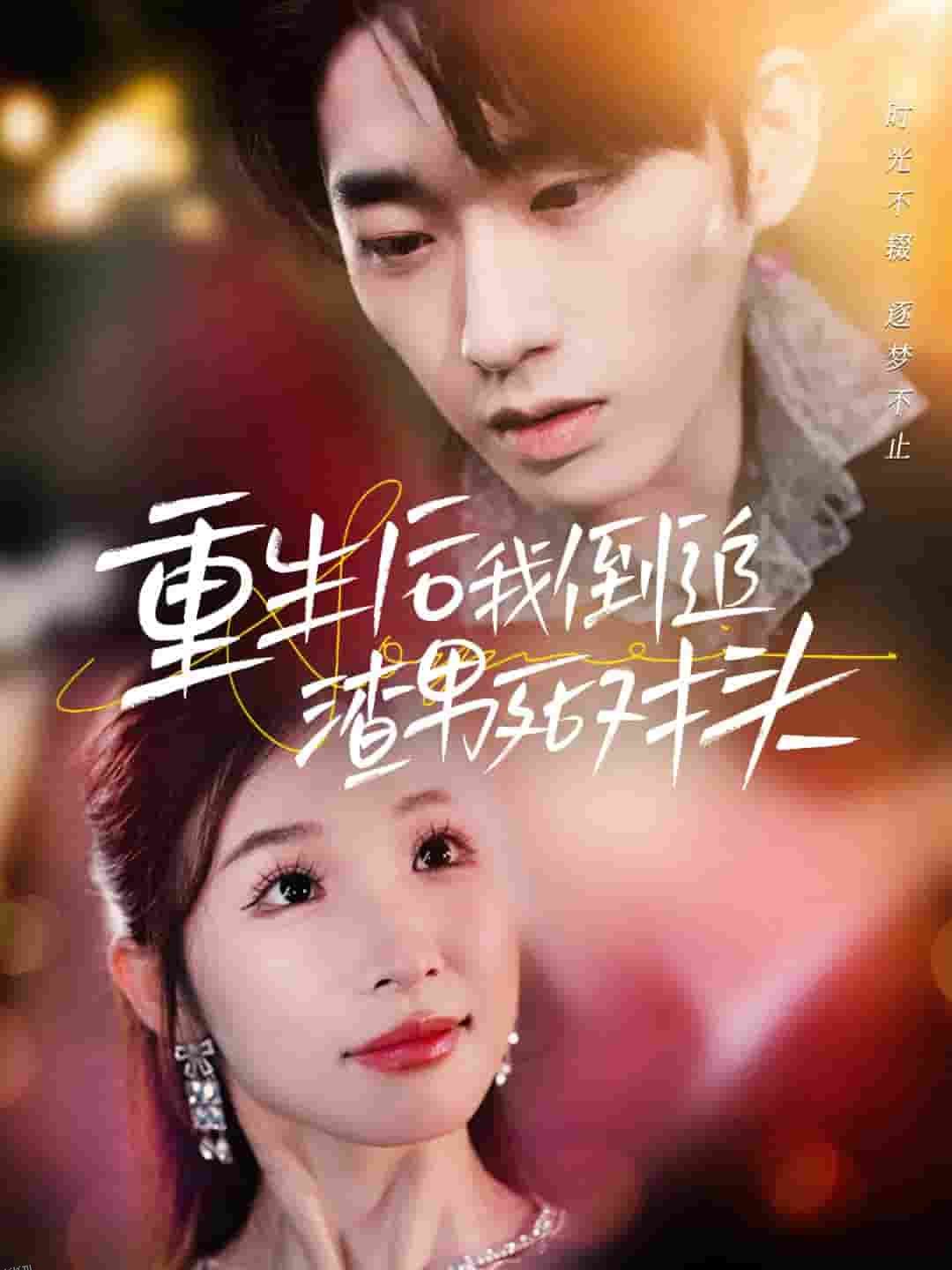 重生后我倒追渣男死对头 高清海报