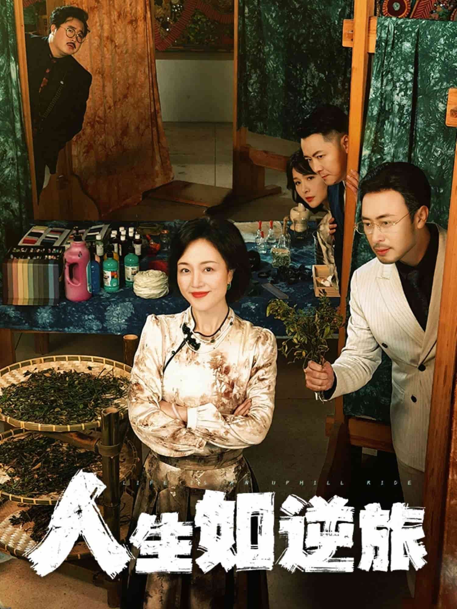 人生如逆旅 海报