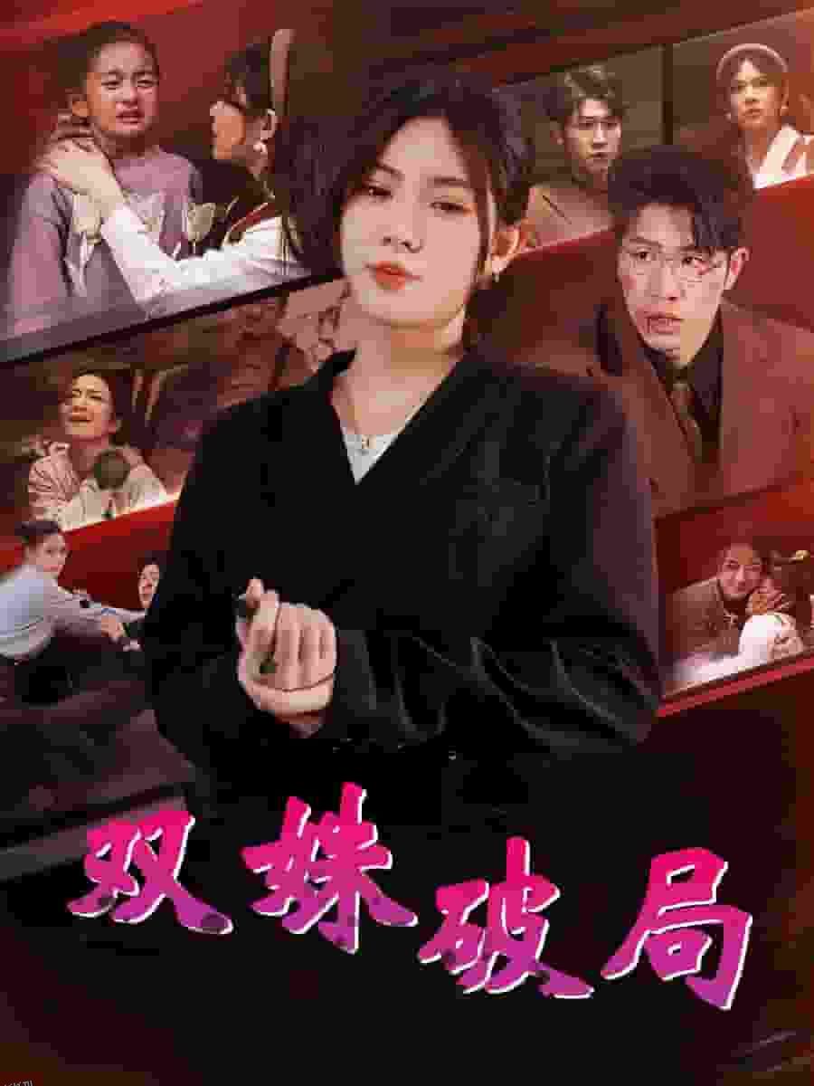 双姝破局 海报