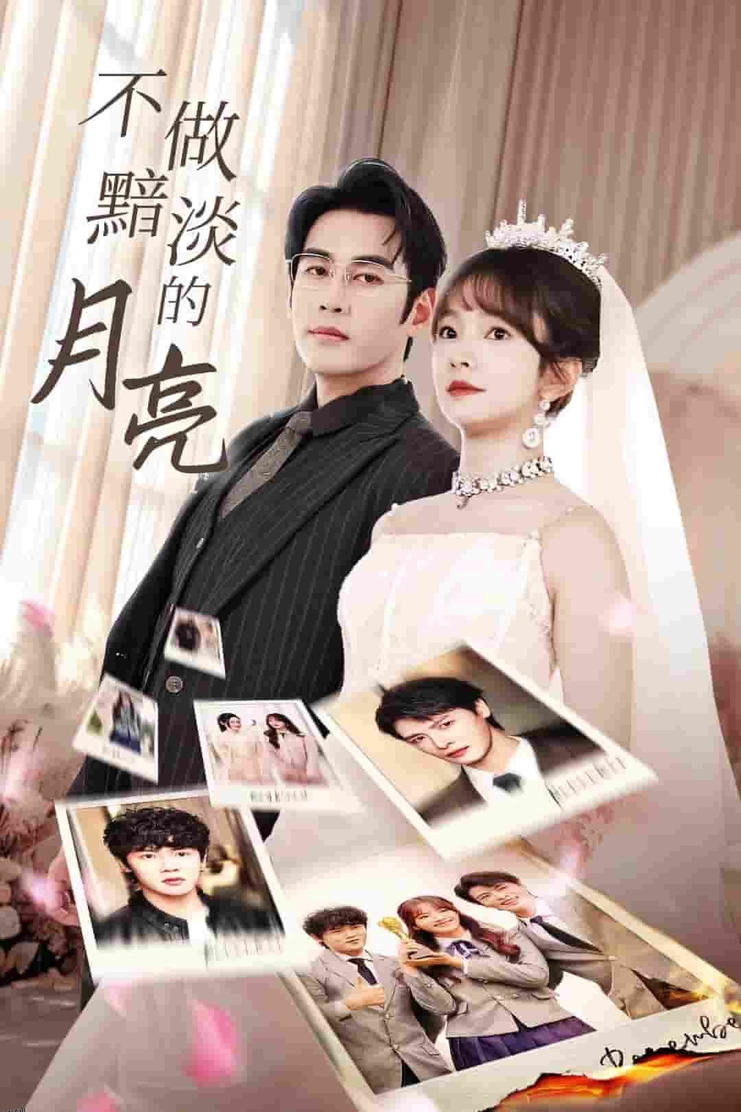 不做黯淡的月亮 海报