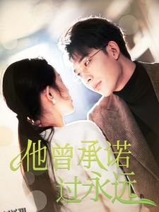 他曾承诺过永远 海报