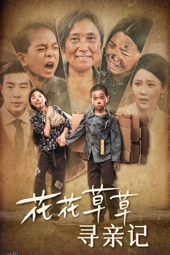 花花草草寻亲记 海报