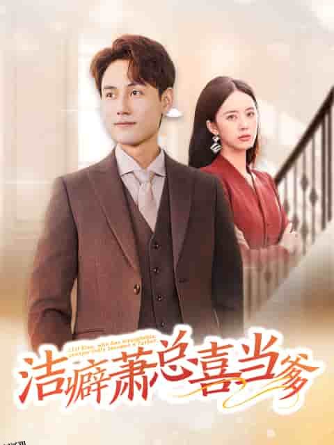 洁癖萧总喜当爹 海报