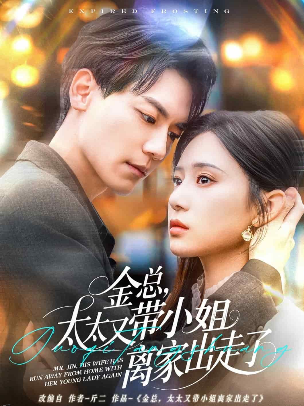 金总，太太又带小姐离家出走了 海报