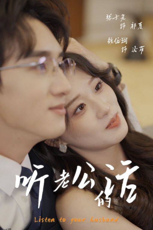 听老公的话 海报