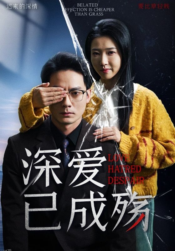 深爱已成殇 海报