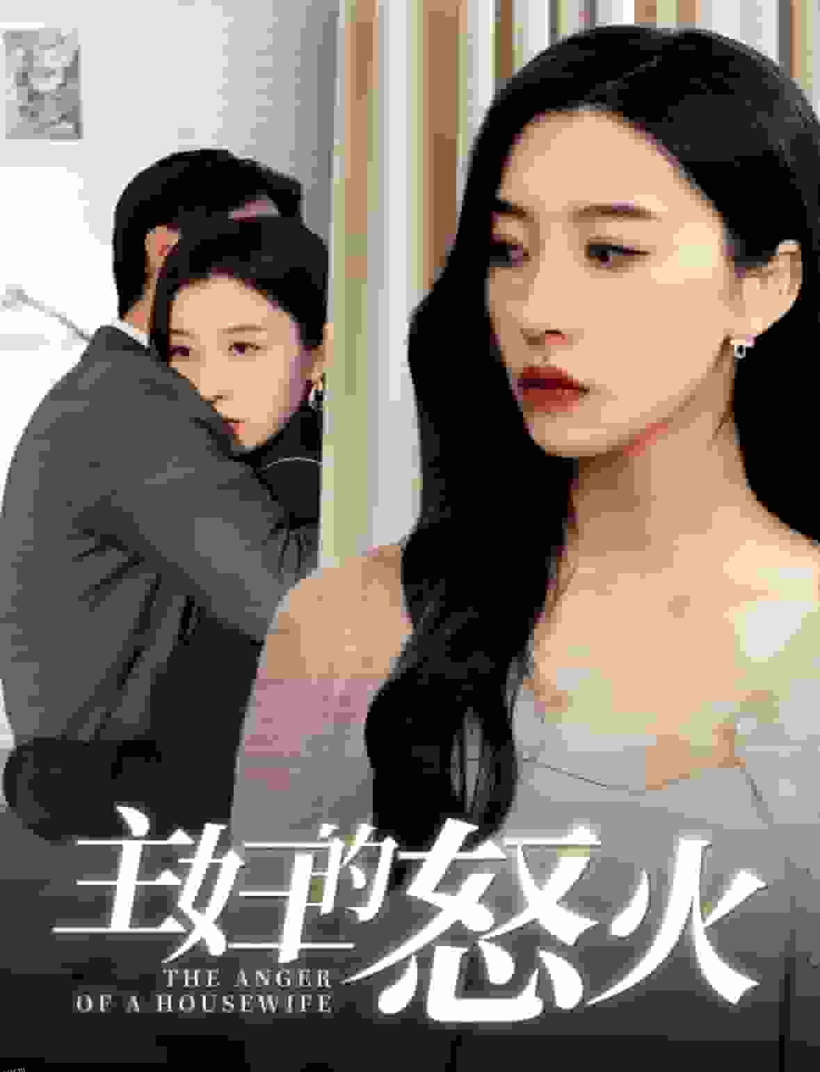 主妇的怒火 高清海报