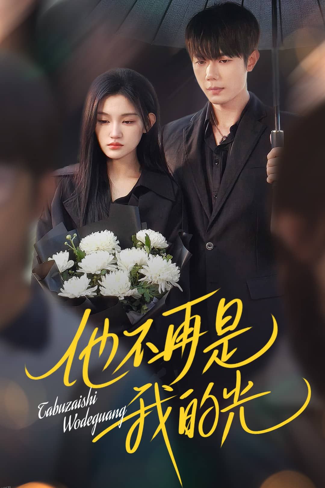 他不再是我的光 海报